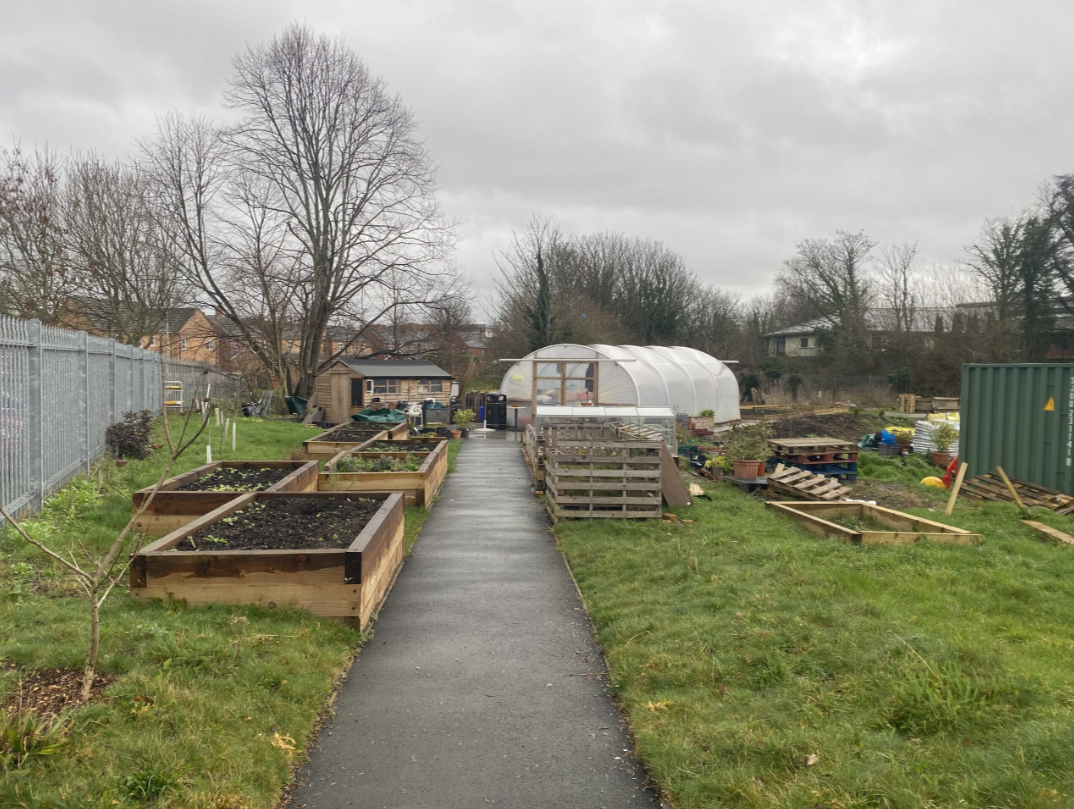 Wrexham Social Prescribing - Gina Mollett, Go & See Microbursary 2025-26