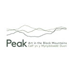 Peak - Art in the Black Mountains