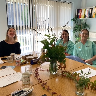 Perinatal Mental Health Project Tanio and Cwm Taf Morgannwg UHB